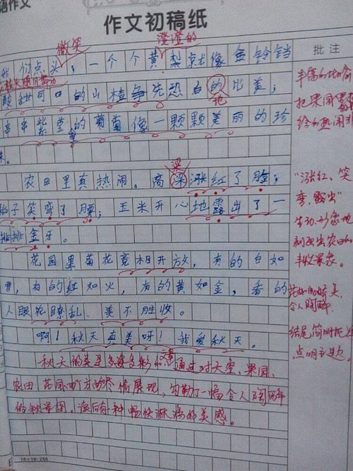为什么而陶醉作文