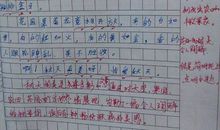 为什么而陶醉作文