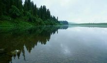 向心而露为远而藏