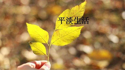 爱是我更美丽