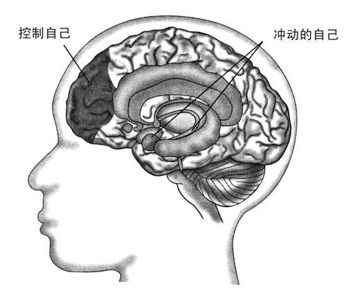 改善自我生产