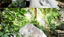 藏在心底的目光