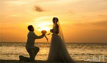 由一场邂逅引发的感触