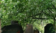 谎言也是一种美