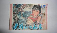 我发现了樟树的秘密