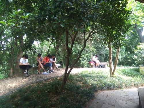 集中绿色阴影
