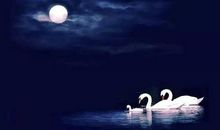 爱如花，情似暖