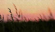 帮折断的大树扶起枝干——读《骆驼祥子》有感