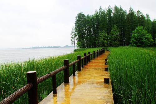 它也是一种景观