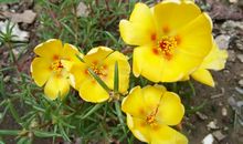 给自己一个微笑的理由