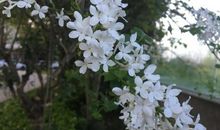 灯光下赐予的领悟