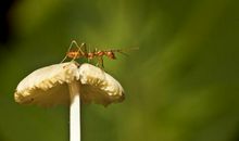 平凡美丽的生命