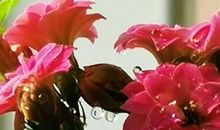 生活中爱的点滴