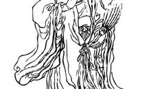 鞠躬尽瘁，死而后已