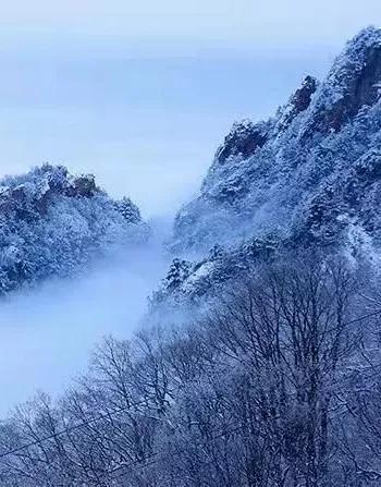 冬天后的第一雪