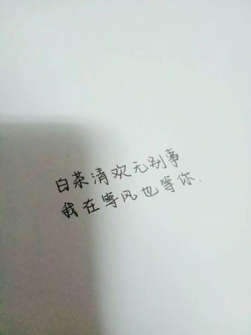 我在“风”中成长