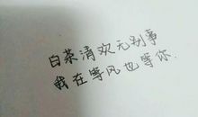 我在“风”中成长