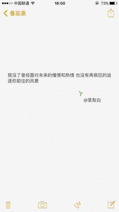 美丽的追逐