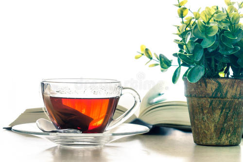 Teap在茶杯的温暖