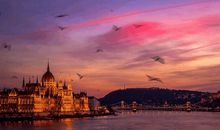 采撷余晖中的最美