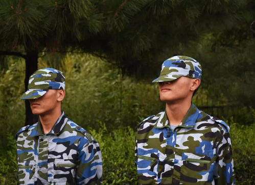 严重的教练