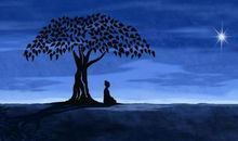 人生的守恒与变化