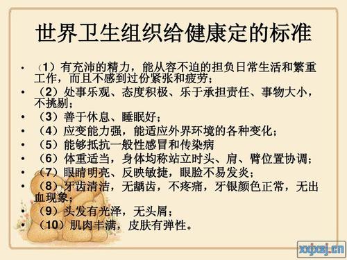 第二代主题组成