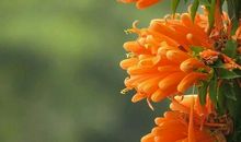 追求易逝的亲情