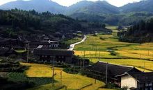 藏在田野里的精彩