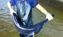 世界原来这么大