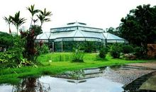 你是我心中的那抹绿