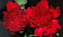 有一种温暖叫母爱