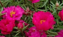 有爱的地方就是天堂