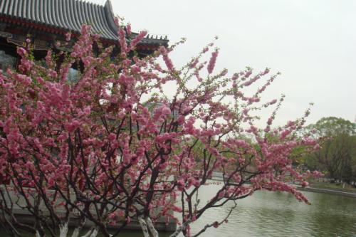 事实证明，春天总是在周围