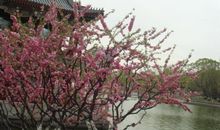 原来春天一直就在身边