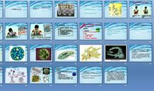 科学观察——水滴里的微生物