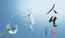 痛而善言绽放人生最美姿态