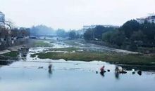 马路边，那一道道美丽的风景线