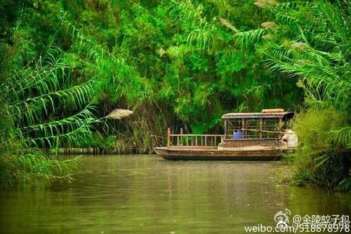 溱湖我的梦想家