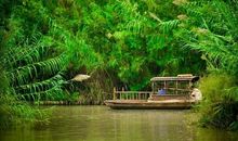 溱湖我的梦中家园