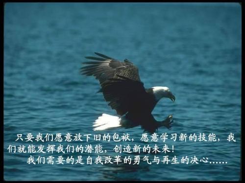 放手，为什么不飞