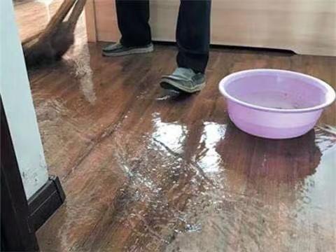 我在水湖上的家