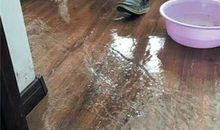 清水湖畔我的家