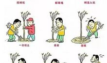 人人都为植树添份力