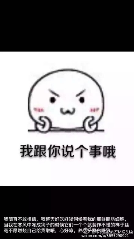 不长的记忆