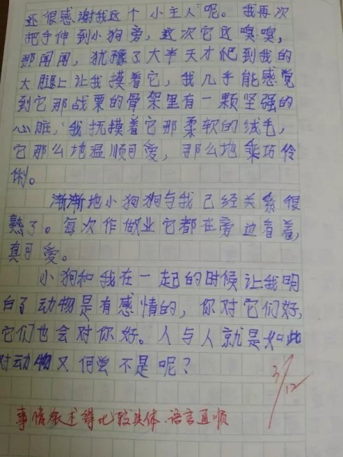 初中组成与你