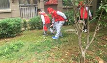 清洁校园，美化环境