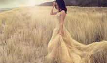 书，我的最佳人生伴侣