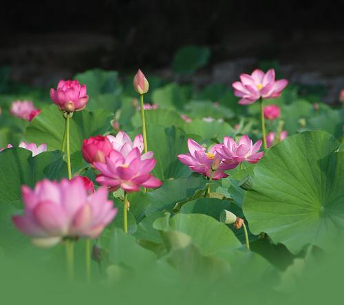 其他人的幸福