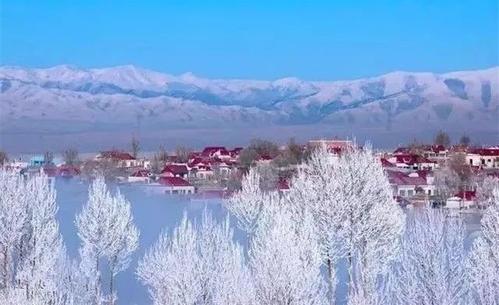 美丽的雪